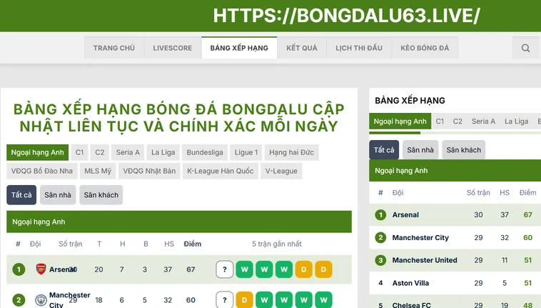 Bảng xếp hạng Bongdalu hiển thị đầy đủ điểm số, hiệu số, số trận thắng, hòa, thua của các đội trong từng giải đấu