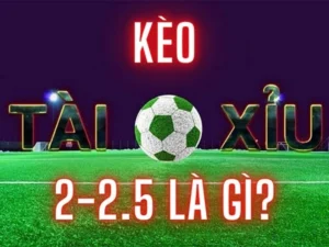 Cách Chơi Kèo 2.25 Tại BongDaLu Chi Tiết Cho Người Mới Và Cao Thủ