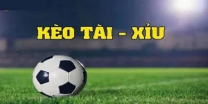 Cách Chơi Kèo Tài Xỉu Tại BongDaLu Chuẩn Xác Và Hiệu Quả Nhất