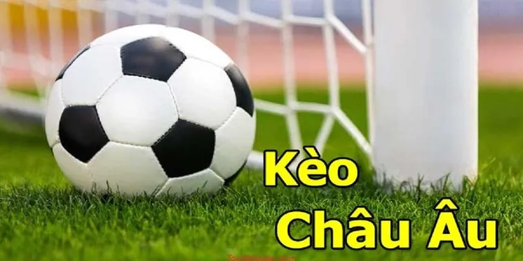 Cách Chơi Kèo Châu Âu Tại BongDaLu Hiệu Quả Cho Người Mới Bắt Đầu