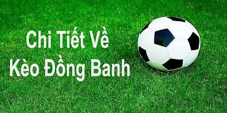 Cách Chơi Kèo Đồng Banh Tại BongDaLu Hiểu Rõ Cửa Thắng Và Chiến Lược Hiệu Quả