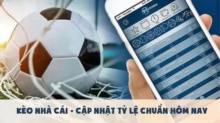 Cách Chơi Kèo Tài Xỉu Hiệp 2 Tại BongDaLu Chuẩn Xác Cho Người Mới