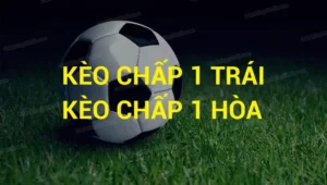 Cách Chơi Kèo Chấp 1 Tại BongDaLu Chuẩn Xác Và Hiệu Quả Cho Người Mới