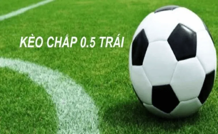 Cách Chơi Kèo Chấp 0.5 Tại BongDaLu Hiểu Rõ Cơ Chế Và Cách Thắng Hiệu Quả